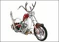 OCC Christmas Bike